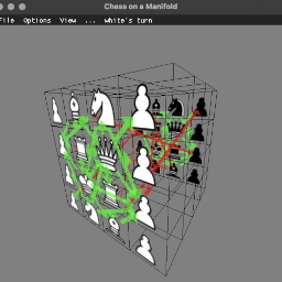 chess on a manifold